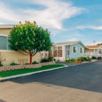 Are You Getting Ready to Spring Clean? Hire Our Demolition Experts to Help!